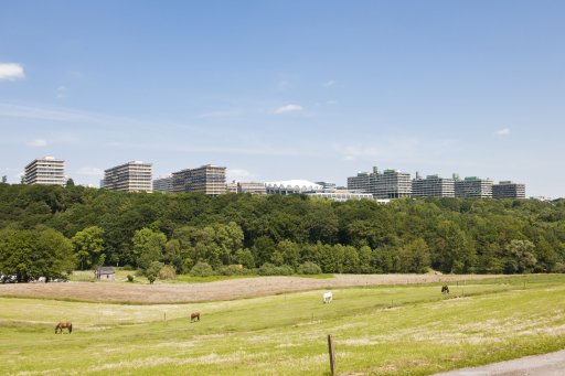 Ruhr-Universität Bochum Bild mit Wald und Pferde